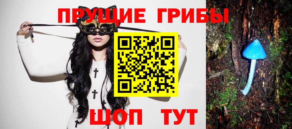Псилоцибиновые грибы Cubensis Саранск