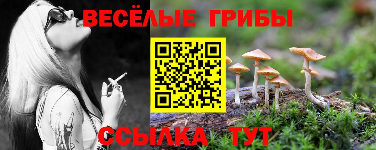 Псилоцибиновые грибы мицелий  Вход с VPN  Саранск  Псилоцибиновые грибы мицелий 